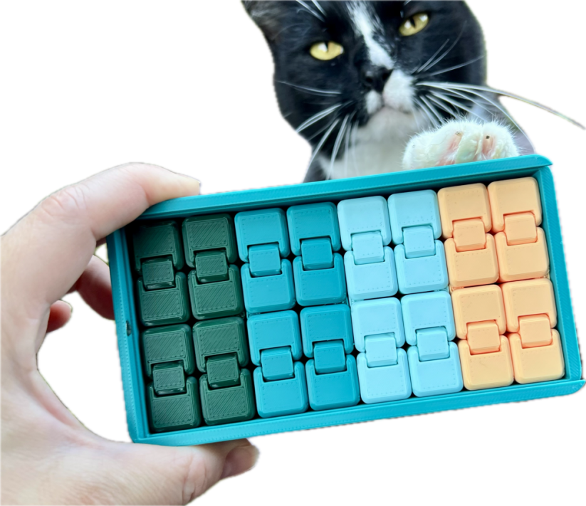 BINGO BLUEY