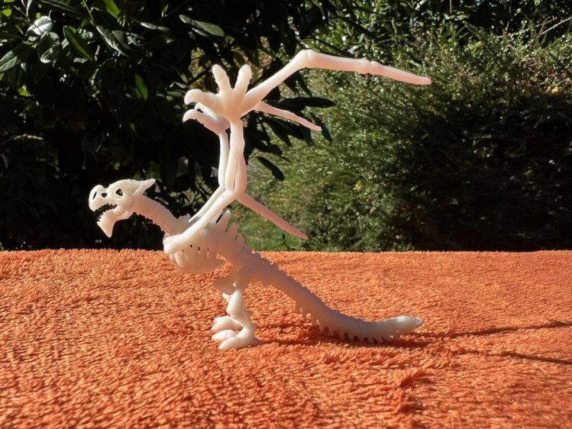 Kostra pterodaktyla