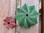 POINSETTIA a KISSMYASS