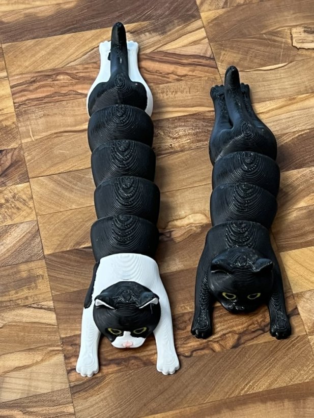 Přesně jako moje kočky