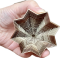GOLDSTAR
